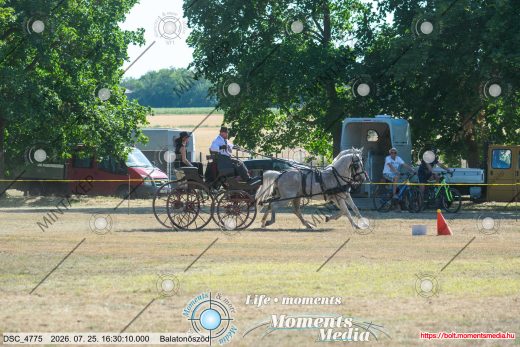 Mintakép 20260725-1223