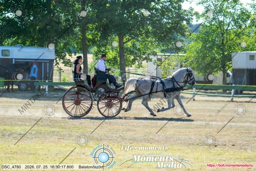 Mintakép 20260725-1227