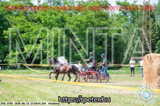 Mintakép 20260613-1229