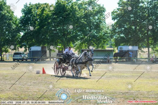 Mintakép 20260725-1229