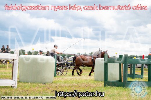 Mintakép 20260613-43