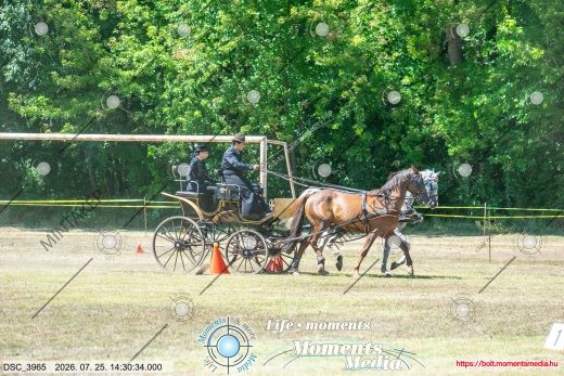 Mintakép 20260725-1246