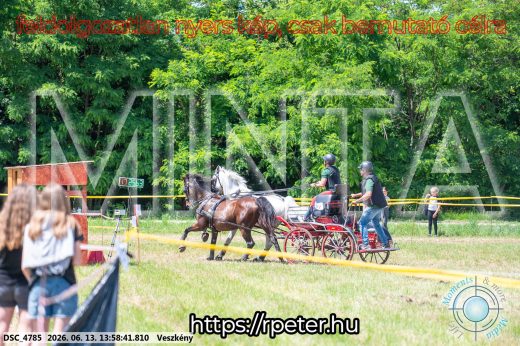 Mintakép 20260613-1231