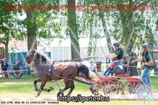 Mintakép 20260613-1232