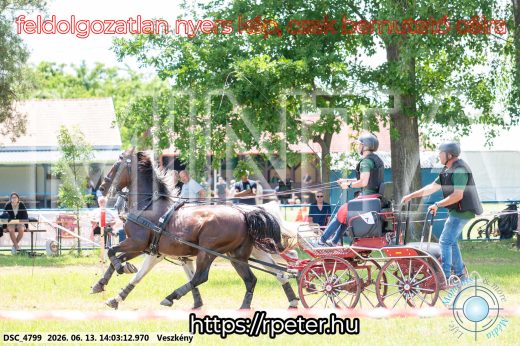 Mintakép 20260613-1233
