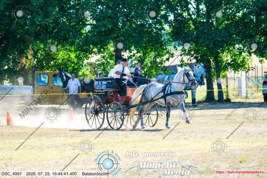 Mintakép 20260725-1320
