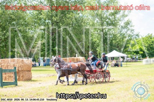 Mintakép 20260613-1241