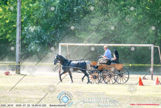 Mintakép 20260725-1367