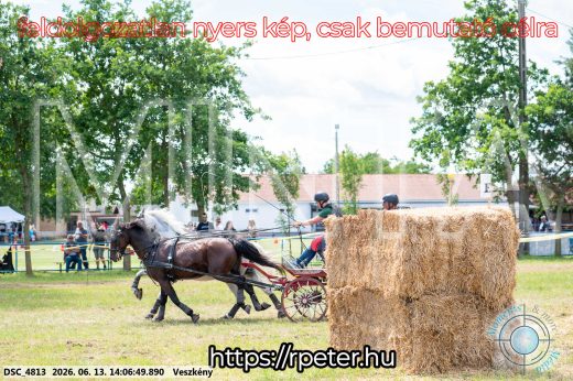 Mintakép 20260613-1243