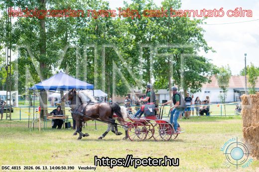 Mintakép 20260613-1245