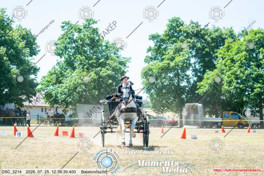 Mintakép 20260725-1403