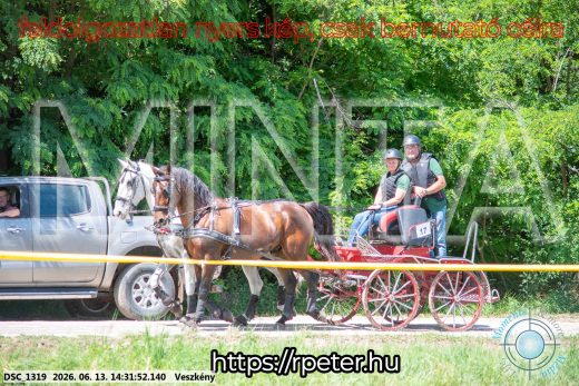 Mintakép 20260613-1247