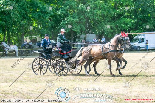 20260725-102929-DSC_2491.jpg