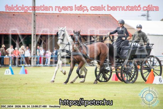 Mintakép 20260614-462