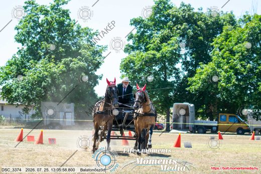 Mintakép 20260725-1454
