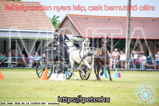 Mintakép 20260614-464
