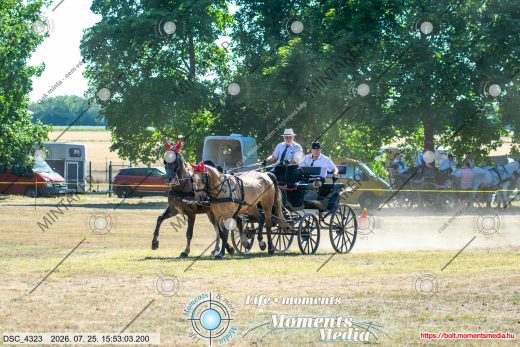 Mintakép 20260725-1464