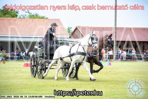 Mintakép 20260614-466