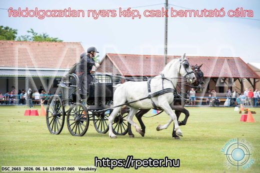 Mintakép 20260614-467