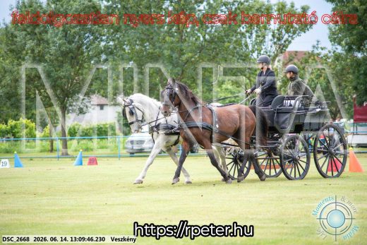 Mintakép 20260614-468