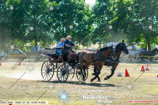 Mintakép 20260725-1508