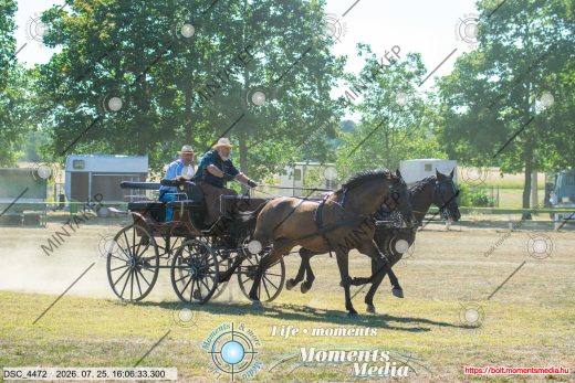 Mintakép 20260725-1517