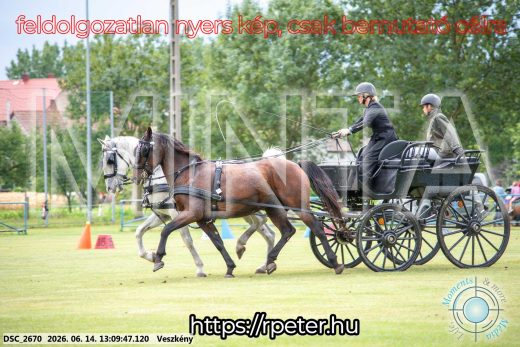 Mintakép 20260614-470
