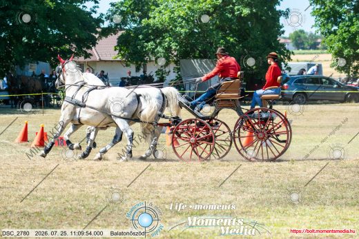 Mintakép 20260725-1524