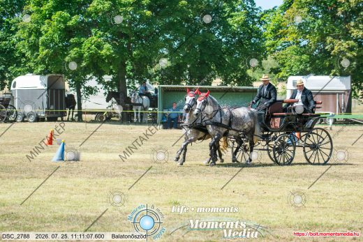 20260725-111107-DSC_2788.jpg
