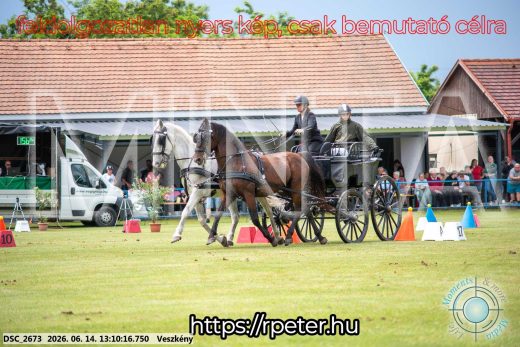 Mintakép 20260614-474