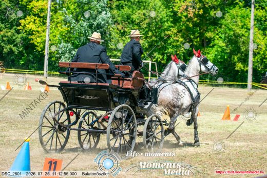 Mintakép 20260725-1559