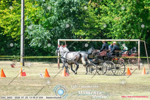 Mintakép 20260725-1568
