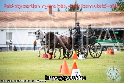 Mintakép 20260614-475