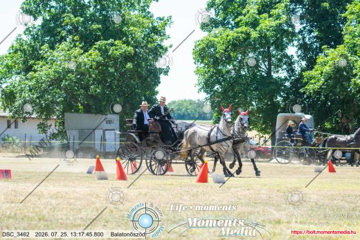 Mintakép 20260725-1574
