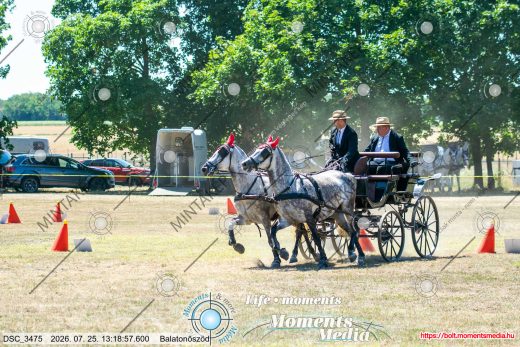 Mintakép 20260725-1580
