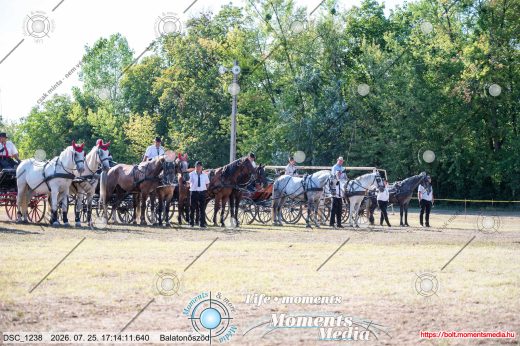 Mintakép 20260725-1610