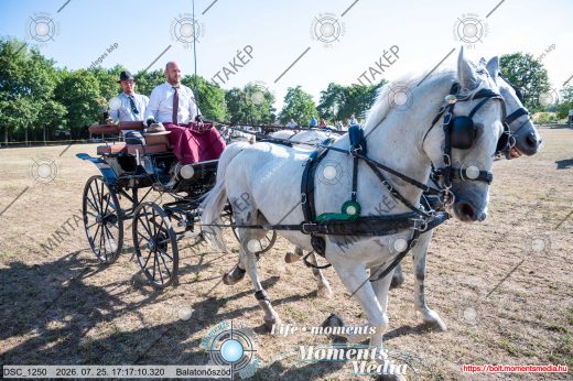 Mintakép 20260725-1617