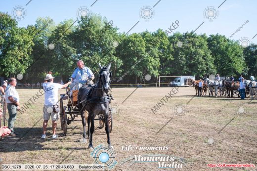 Mintakép 20260725-1627