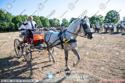 Mintakép 20260725-1633