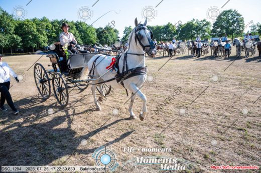 Mintakép 20260725-1636