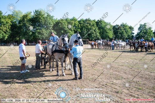 Mintakép 20260725-1654