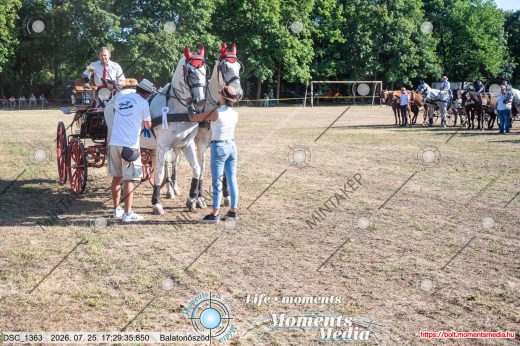 Mintakép 20260725-1663