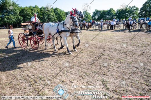 Mintakép 20260725-1664