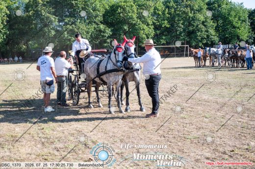 Mintakép 20260725-1666