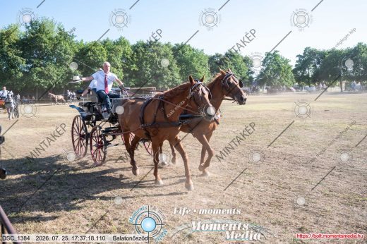Mintakép 20260725-1672