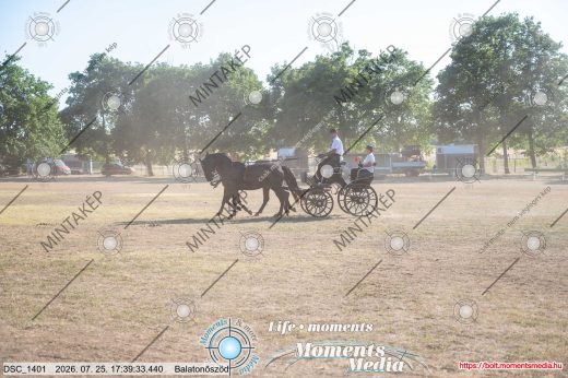 Mintakép 20260725-1684