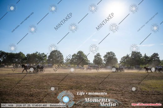 Mintakép 20260725-1688