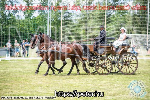 Mintakép 20260612-636