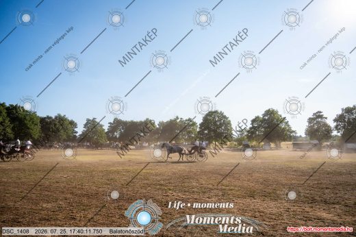 Mintakép 20260725-1690