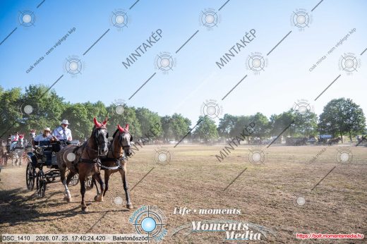 Mintakép 20260725-1692